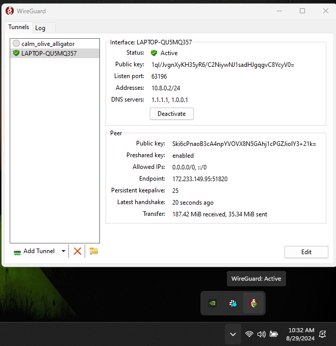 wireguard_active.png